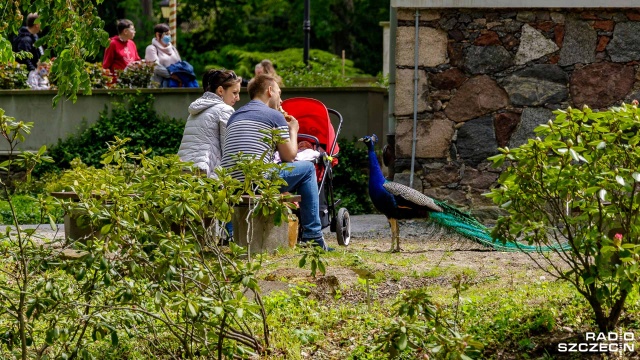 Fot. Robert Stachnik [Radio Szczecin] 17.05.2020 Stan epidemiczny. Dzień sześćdziesiąty trzeci. Ogród Dendrologiczny w Przelewicach [WIDEO, DUŻO ZDJĘĆ]