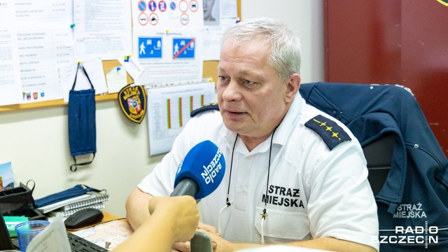 Fot. Robert Stachnik [Radio Szczecin] Natarczywe dziki w Międzyzdrojach. Miasto przeciwdziała [ZDJĘCIA]