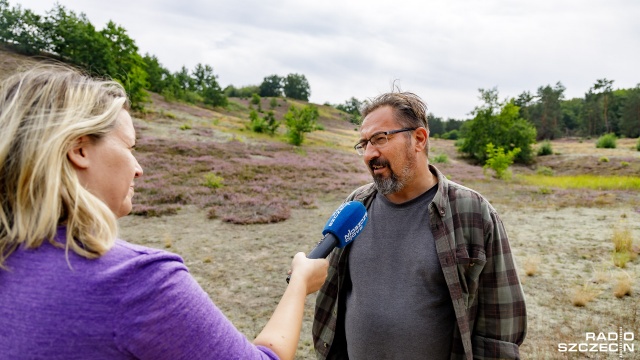 Fot. Robert Stachnik [Radio Szczecin] Turyści niszczą Wrzosowiska Cedyńskie [DUŻO ZDJĘĆ]