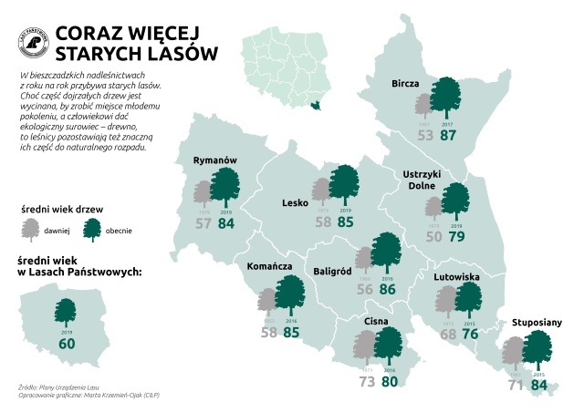 źródło: Regionalna Dyrekcja Lasów Państwowych w Szczecinie Protest przeciwko wycince Puszczy Karpackiej [ZDJĘCIA]