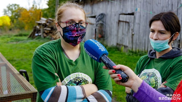 Fot. Robert Stachnik [Radio Szczecin] Koci azyl prosi o pomoc [DUŻO ZDJĘĆ]