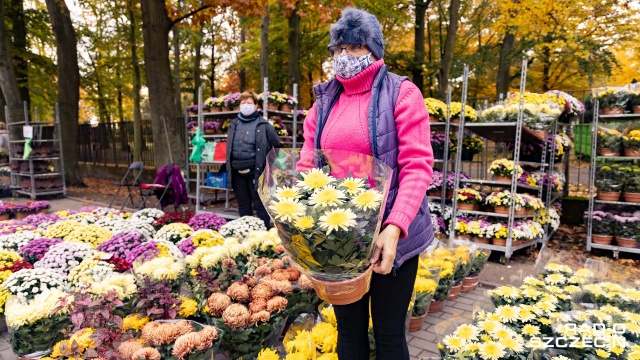 Mieszkańcy Szczecina i regionu wydają na kwiaty i znicze nawet po kilkaset złotych. Fot. Robert Stachnik [Radio Szczecin] "Chryzantemy, wiadomo: obowiązkowo" [ZDJĘCIA]
