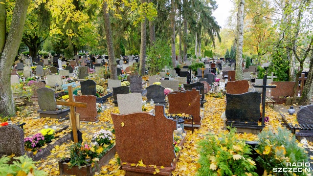 Cmentarz przy ul. Poległych Fot. Robert Stachnik [Radio Szczecin] Mniej znane i zapomniane. Spacer po szczecińskich cmentarzach [DUŻO ZDJĘĆ]