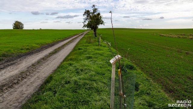 Fot. Robert Stachnik [Radio Szczecin] Oryginalny projekt mieszkańców w Mirowie [ZDJĘCIA]