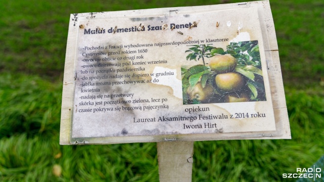 Fot. Robert Stachnik [Radio Szczecin] Oryginalny projekt mieszkańców w Mirowie [ZDJĘCIA]