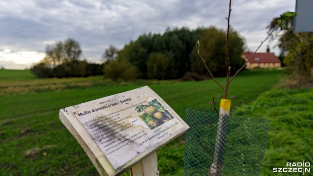 Fot. Robert Stachnik [Radio Szczecin] Oryginalny projekt mieszkańców w Mirowie [ZDJĘCIA]