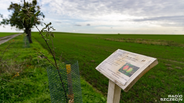 Fot. Robert Stachnik [Radio Szczecin] Oryginalny projekt mieszkańców w Mirowie [ZDJĘCIA]