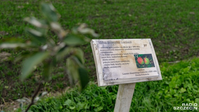 Fot. Robert Stachnik [Radio Szczecin] Oryginalny projekt mieszkańców w Mirowie [ZDJĘCIA]