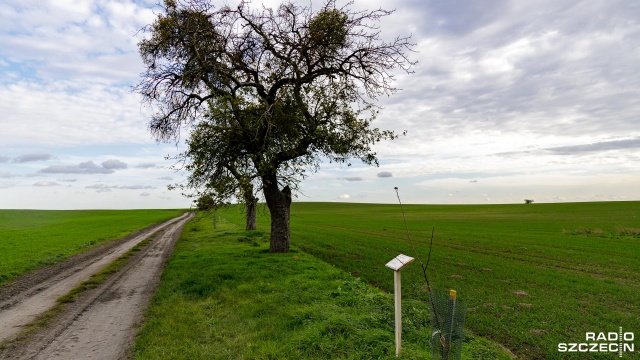 Fot. Robert Stachnik [Radio Szczecin] Oryginalny projekt mieszkańców w Mirowie [ZDJĘCIA]
