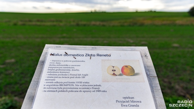 Fot. Robert Stachnik [Radio Szczecin] Oryginalny projekt mieszkańców w Mirowie [ZDJĘCIA]