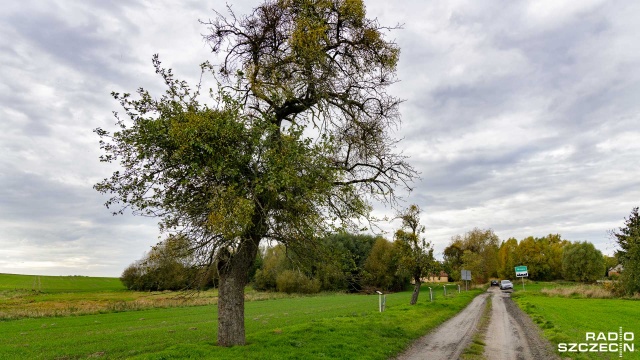Fot. Robert Stachnik [Radio Szczecin] Oryginalny projekt mieszkańców w Mirowie [ZDJĘCIA]