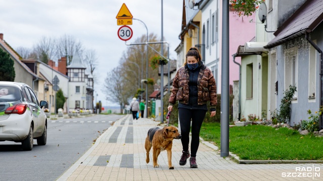 Fot. Robert Stachnik [Radio Szczecin] Stepnica przygotowała pakiet benefitów by zachęcić do adopcji psów [ZDJĘCIA]