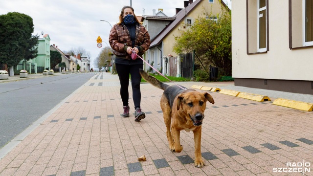 Fot. Robert Stachnik [Radio Szczecin] Stepnica przygotowała pakiet benefitów by zachęcić do adopcji psów [ZDJĘCIA]