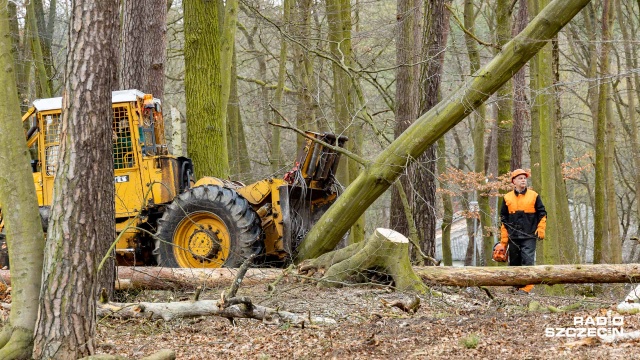 Przy Jeziorze Głębokim trwa budowa ronda i pętli tramwajowej. Towarzyszy temu również wycinka drzew. Protestów jest jednak zdecydowanie mniej niż przy wcześniejszych wycinkach. Dlaczego