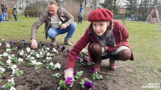 Zasadź kwiat na Dzień Kobiet - to pomysł szczecińskich licealistek, aby zamiast ciąć kwiaty - posadzić je i ozdobić nimi Szczecin. Bratki sadzono na pl. Gałczyńskiego w Szczecinie.