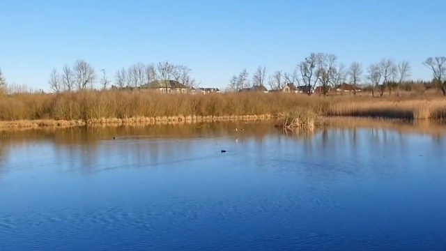 Na spotkania z przyrodą i zwierzętami w internecie zaprasza Marzena Białowolska ze szczecińskiej Fundacji Dzikich Zwierząt.
