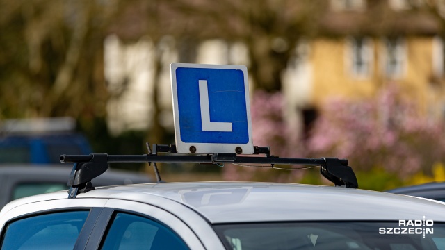 Można już zdawać egzamin na prawo jazdy w Szczecinie. Wojewódzki Ośrodek Ruchu Drogowego wznowił pracę.