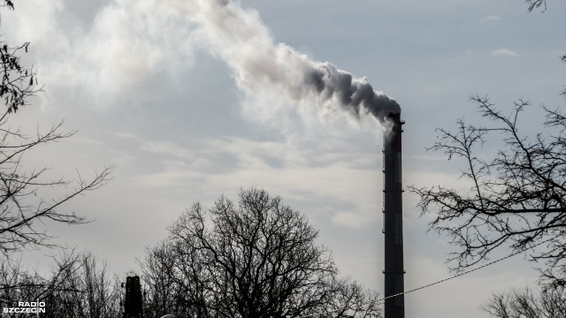 Z 90 dni roboczych do 30 dni kalendarzowych - tak skrócił się termin rozpatrywania wniosków w programie Czyste powietrze. To realne przyspieszenie, łatwiej będzie uzyskać wsparcie - ocenił w Popołudniowej Przeplatance Paweł Mirowski.