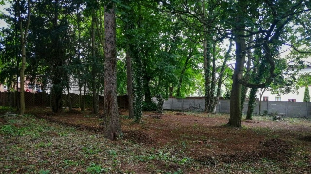 Stowarzyszenie Denkmal Pomorze ze Szczecina od kilkunastu miesięcy intensywnie poszukuje miejsca pochówku Johannesa Quistorpa - jednego z budowniczych XIX-wiecznego Szczecina.