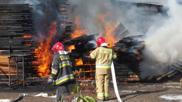 Pożar przy ul. Golisza. Płonął tartak [ZDJĘCIA]