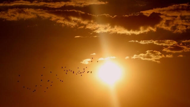 W niedzielę ponownie najwyższą temperaturą zanotowano na stacji w Słubicach w Lubuskiem. Jak podaje Instytut Meteorologii i Gospodarki Wodnej, termometry wskazały tam 34 stopnie.