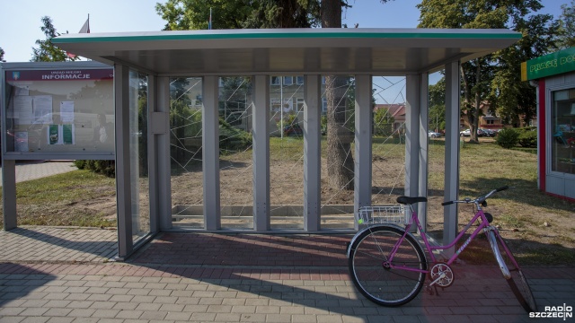 Chojna sprawdza pomysł z zielonymi przystankami [ZDJĘCIA]