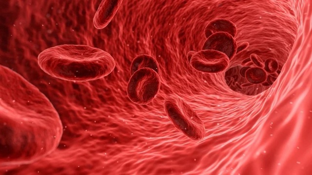 Grupa krwi może wpływać na przebieg COVID-19 - wynika z badań Amerykańskiego Towarzystwa Hematologii.
