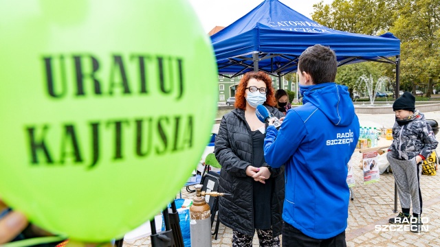 Domowe ciasta, pokazy taneczne i magiczne, a wszystko po to, aby pomóc choremu dziecku.