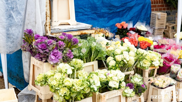 Burmistrz Myśliborza zapowiedział odkupienie kwiatów doniczkowych od lokalnych sprzedawców.