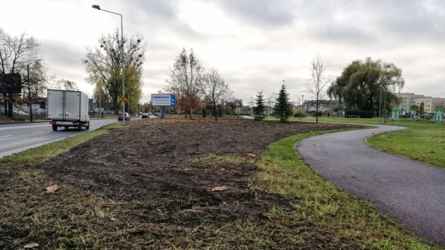 Pierwsza łąka kwietna powstała przy jeziorku Słonecznym, druga - o powierzchni 21 tysięcy metrów kwadratowych - przy ulicy 26-go kwietnia.