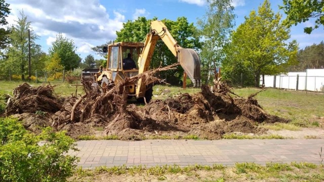 W Dargobądzu powstaje ogród sensoryczny.