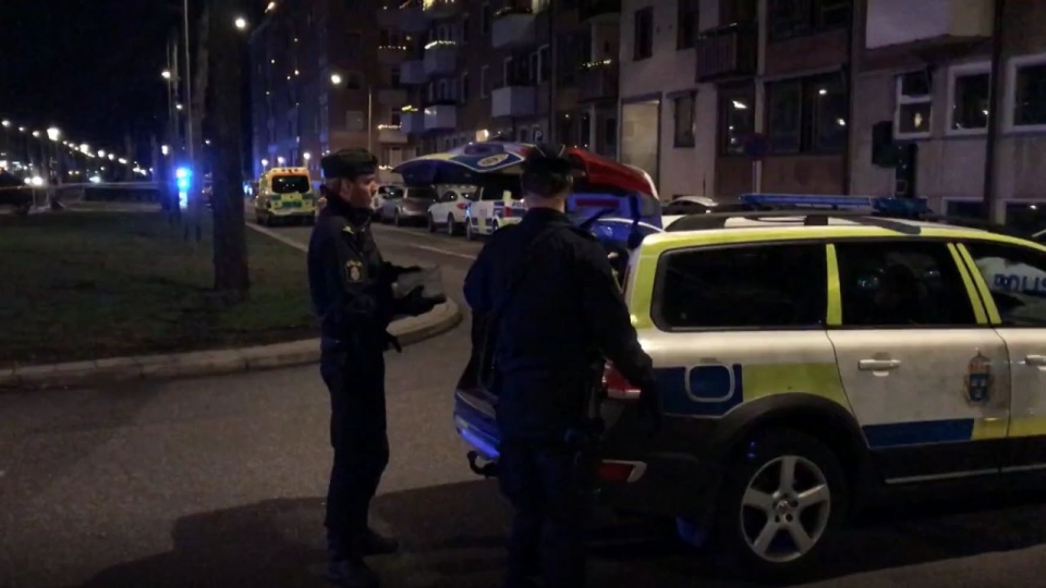 źródło: kadr z SVT - szwedzkiej TV