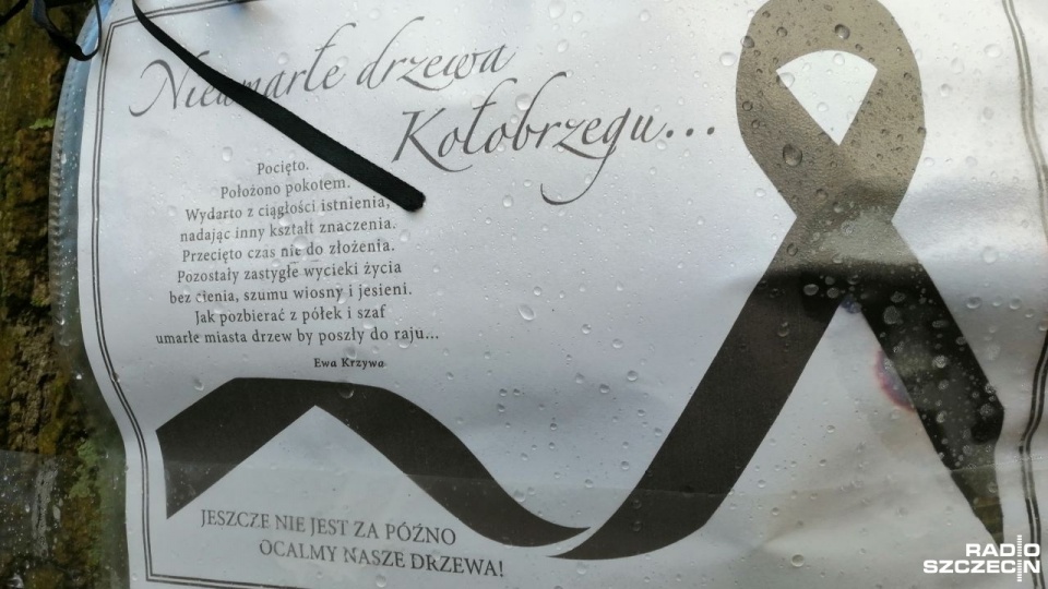 Fot. Przemysław Polanin [Radio Szczecin]
