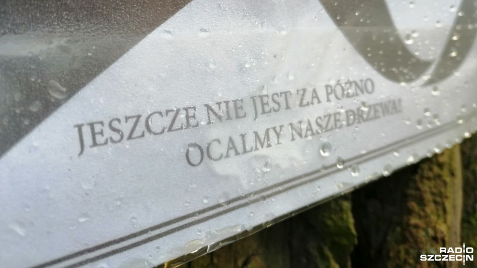 Fot. Przemysław Polanin [Radio Szczecin]
