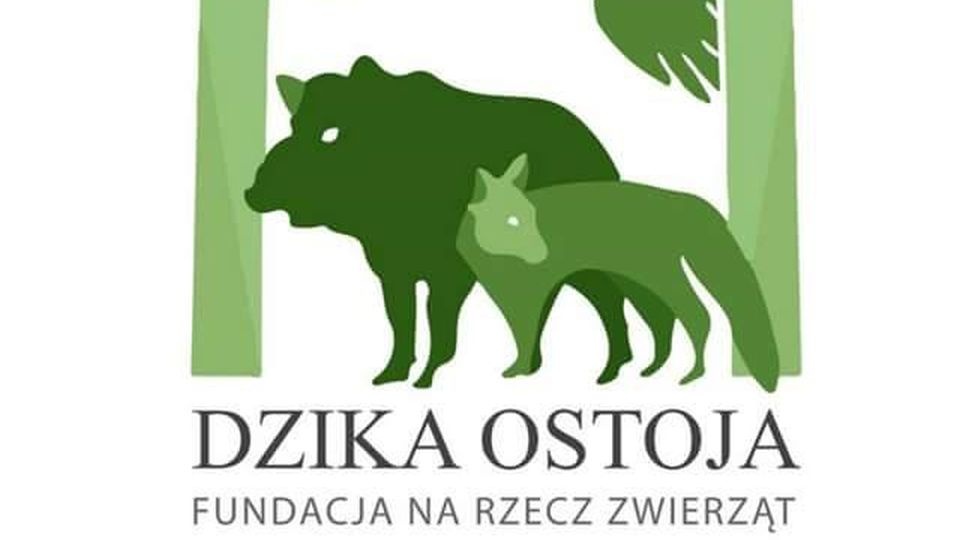 Marzena Białowolska odchodzi z Fundacji na Rzecz Zwierząt Dzika Ostoja. źródło: https://www.facebook.com/dzikaostoja/