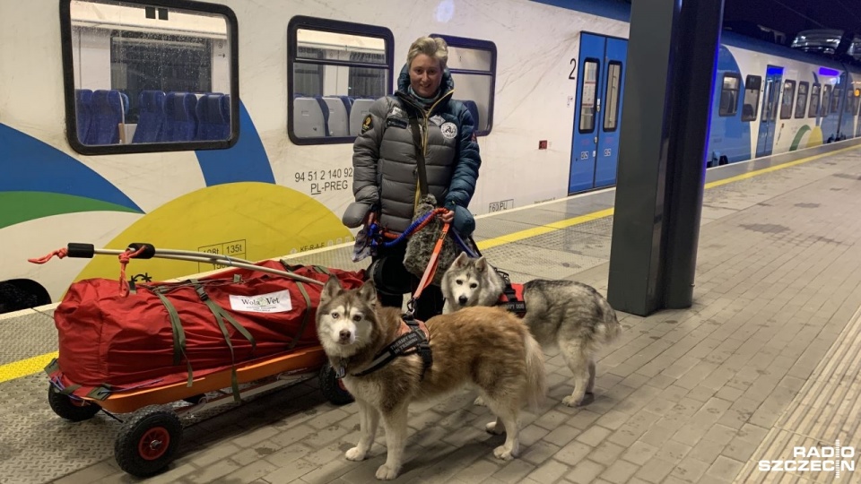 Joanna Szeler z Ariką, Hasanką i całym ekwipunkiem w drodze do Finlandii. Fot. Katarzyna Świerczyńska [Radio Szczecin]