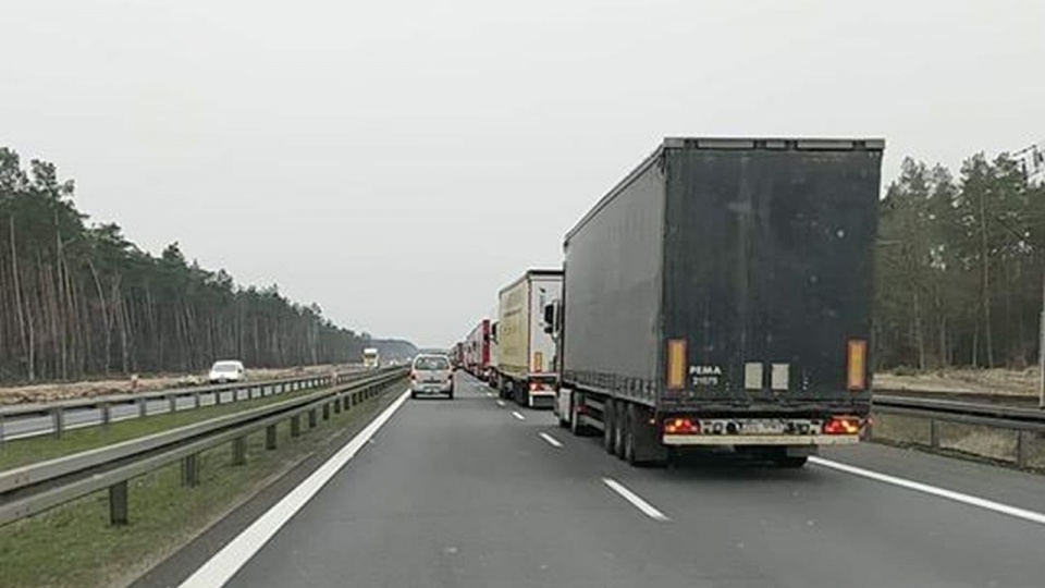 Fot. Facebook grupa Suszą! Szczecin