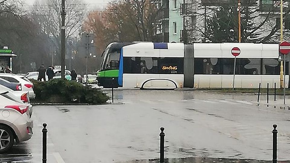 Fot. Facebook Grupa Suszą! Szczecin