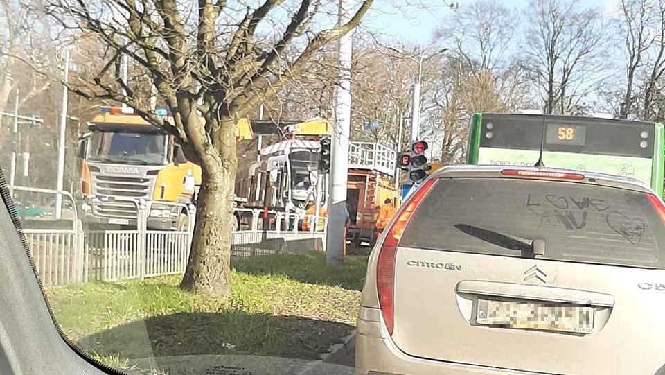 Fot. Facebook Grupa Suszą! Szczecin