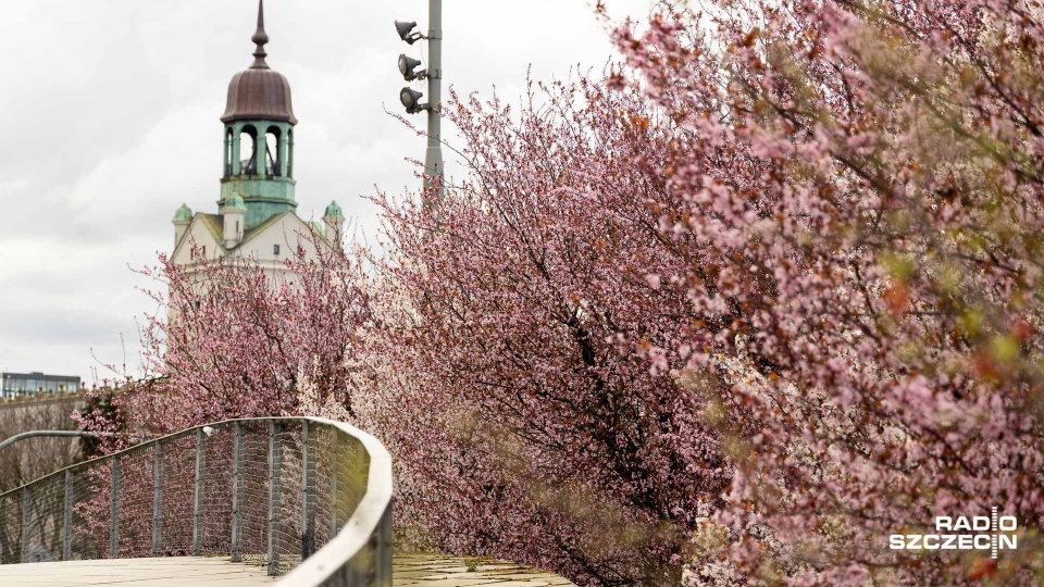 Fot. Robert Stachnik [Radio Szczecin]