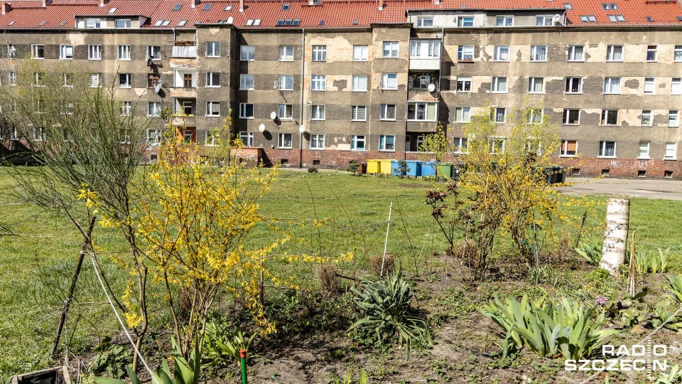 Fot. Robert Stachnik [Radio Szczecin]