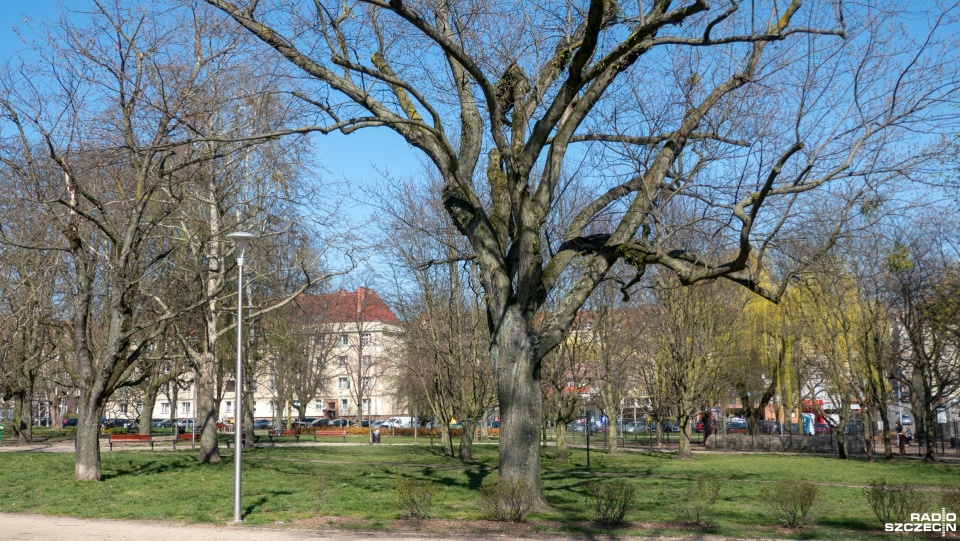 Fot. Maciej Papke [Radio Szczecin]