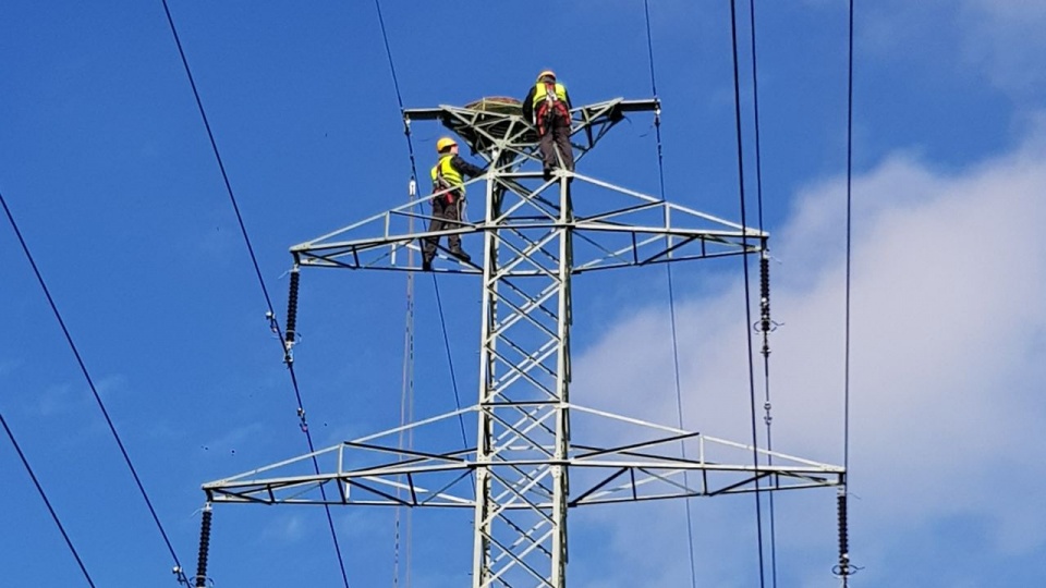 Spółka energetyczna w porozumieniu z Lasami Państwowymi zamontowała kolejne 22 platformy pod gniazda umieszczane na wysokich słupach energetycznych. źródło: https://media.enea.pl/