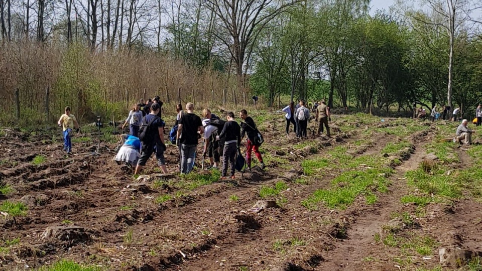 Fot. Regionalna Dyrekcja Lasów Państwowych w Szczecini/Archiwume