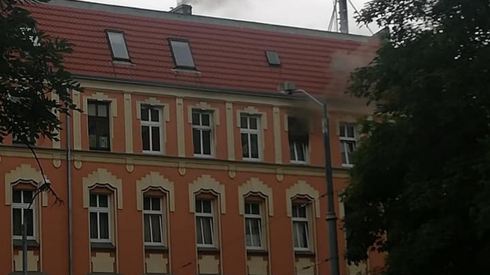 Fot. Facebook Grupa Suszą! Szczecin