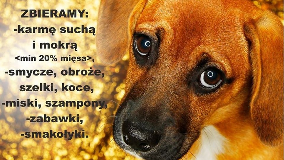 Dary można przynosić do Gryf Areny przy ul. Piłsudskiego. źródło: Starostwo Powiatowe w Gryficach