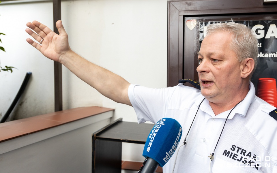 Turyści dzwonią w sprawie na przykład... spacerujących po plaży młodych mew - mówi Dariusz Oswald z międzyzdrojskiej straży miejskiej. Fot. Robert Stachnik [Radio Szczecin]