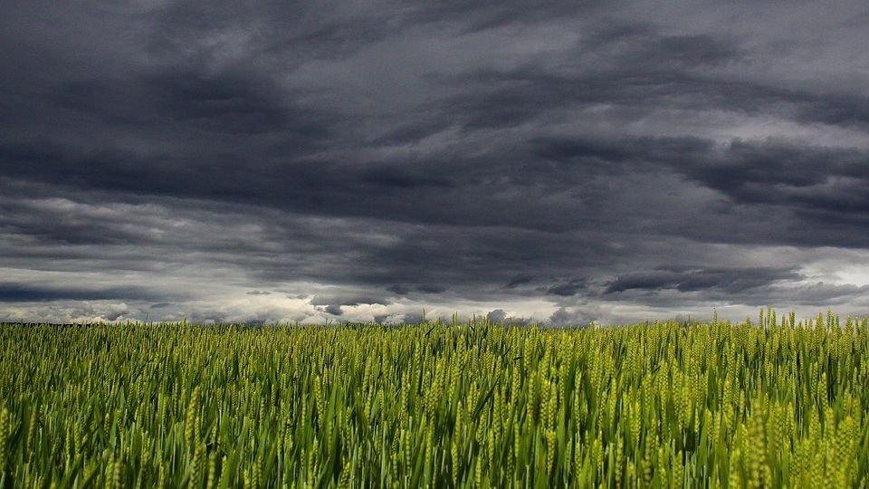 IMGW ostrzega - znów zagrzmi w regionie. źródło: https://pixabay.com/194840/Alois_Wonaschuetz/(CC0 domena publiczna)