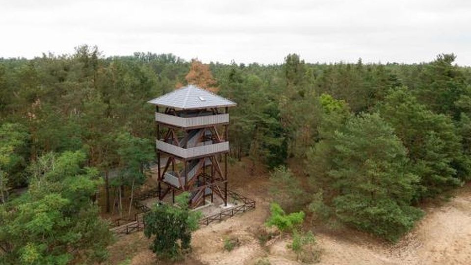 źródło: https://debno.szczecin.lasy.gov.pl/aktualnosci/-/asset_publisher/aPF9/content/puste-pola/ Piotr Cholewiński