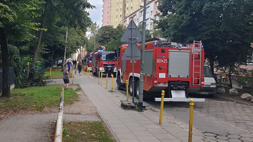 Fot. Facebook Grupa Suszą! Szczecin